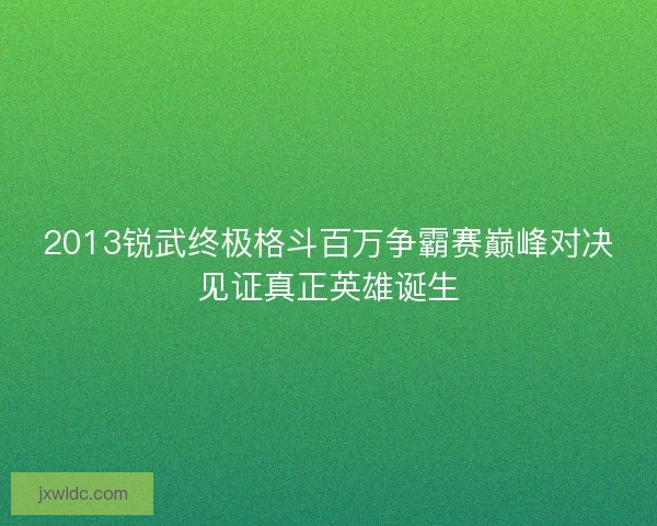 2013锐武终极格斗百万争霸赛巅峰对决见证真正英雄诞生